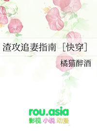 渣攻追妻火葬场图鉴