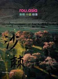 沙棘颗粒的功效与作用