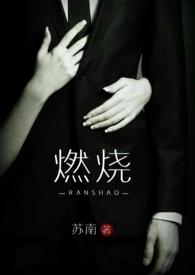 燃烧 (高干 高H)苏南