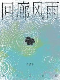 回廊风雨全文txt