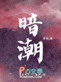 暗潮缉凶电视剧免费观看高清