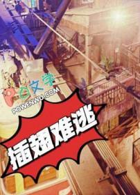 插翅难逃豆瓣