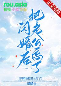 闪婚后把老公忘了番外