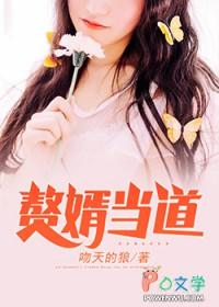 赘婿当道5200