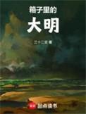 箱子里的大明无防盗精校txt