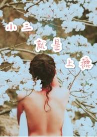 小三就是上瘾by写小三专业户