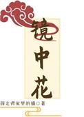 镜中花水中月可望不可及什么意思
