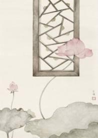 愿我如星君如月花絮