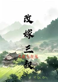 改嫁三叔txt