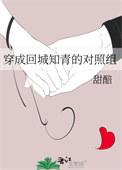 穿成回城知青女配穿书