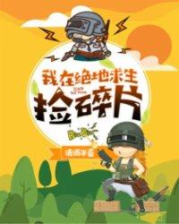 我在绝地求生捡碎片动漫完整版