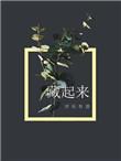 藏起来的男孩