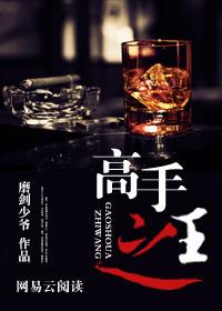 高手之王无弹窗全文阅读