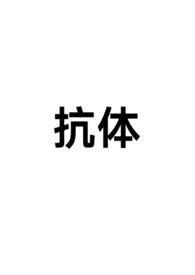 抗体含义