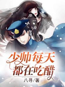 少帅每天都在吃醋另一个名字