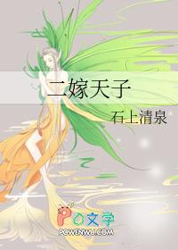 二嫁天子桑宁免费阅读全文