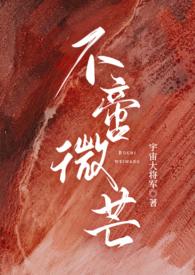 不啻微芒np