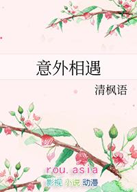 意外相遇的意思
