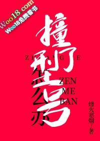 撞了型号怎么办txt宝书
