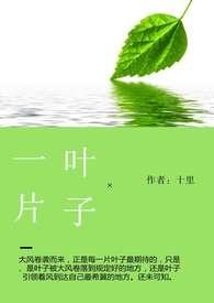 一片叶子的旅程晒票汇总