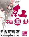 红楼遗梦迷男全本