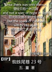 蜘蛛尾巷23号