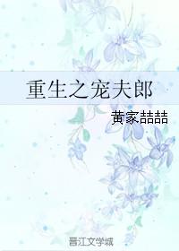 重生之宠夫日常晋江