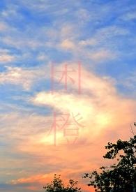 困城txt