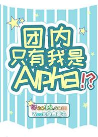 我只是团数据