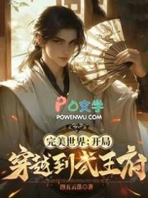 完美世界开局穿越到武王府的