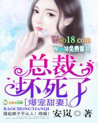 总裁宠妻坏透了