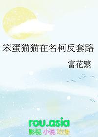 笨猫表情包