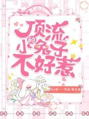 顶流的小兔子不好惹百度
