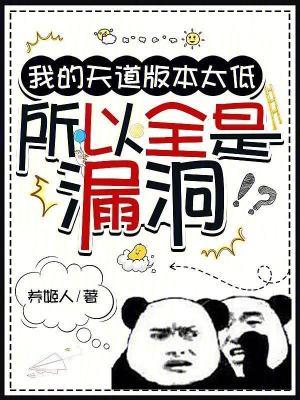 所以全是漏洞完结免费