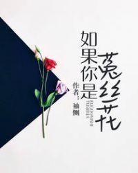 如果你是菟丝花 袖侧讲的什么故事