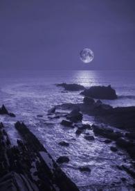 作者暗夜