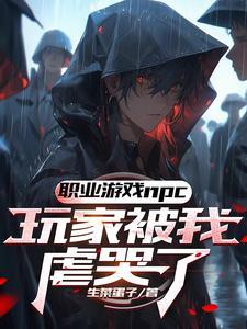 那个npc不干了
