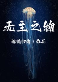 无主之物(NP)