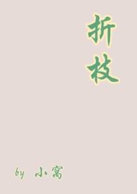 折枝剧透