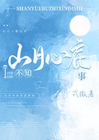山月不知心底事 简介