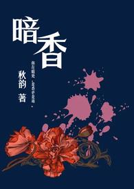 暗香(舅甥1v1H)作者秋韵
