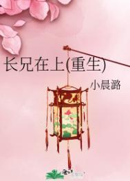 兄长在上全文无防盗章