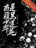 苗疆少年是黑莲花 作者君子生