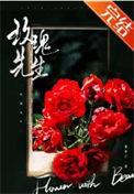 玫瑰先生 剧透