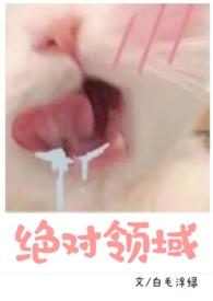 绝对领域1v1(校园)笔趣阁苏卡