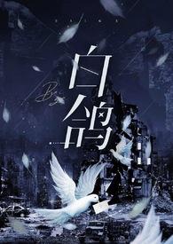 强奸白鸽