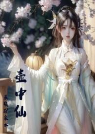 壶中仙歌词