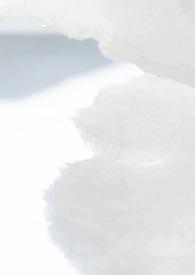 樱花校园病娇版