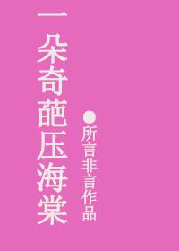 一枝棃花压海棠
