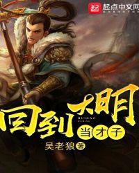 回到大明当才子无错